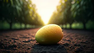 Malda: Experience India's Mango Paradise in May – Your Ultimate Travel Guide