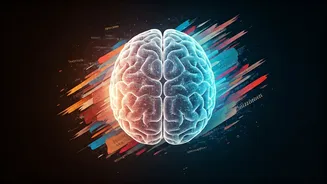 Adobe's Move Shows Where Creativity Is Heading