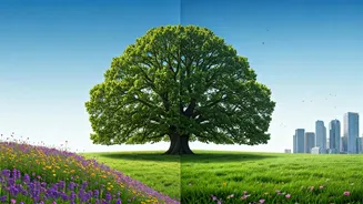 Capricorn Today, April 21, 2026: Homefront Calls for Attention Amidst Career Focus