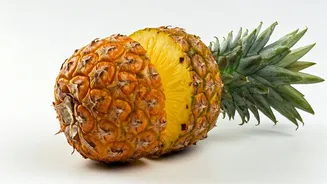 Tripura Pineapple Makes Dessert Planning More Fun