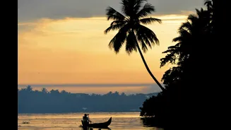 IMD Predicts Delayed Monsoon In Kerala: 5 Best Spots To Enjoy Rain Along With Authentic Regional Cuisine