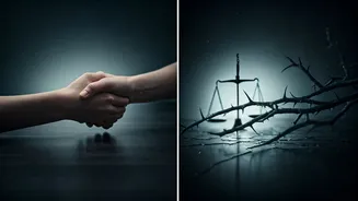 Related Stories banner