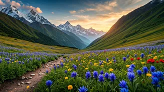 Valley Of Flowers Planning Is Slowly Heating Up