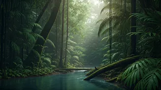 Rainy Andaman Is Green, Quiet And Dramatic