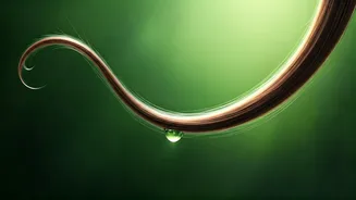 The Moisture Myth: How Hydration Actually Fuels Longer, Stronger Hair