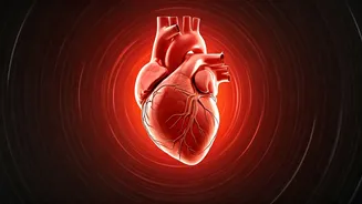 Unlock Heart Health: 1 Minute of Intense Exercise Slashes Heart Disease Risk by 40%