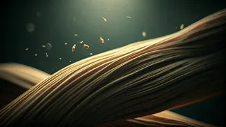 The Secret Science of Silk: How Caterpillars, Climate, and Craftsmanship Define Its Feel