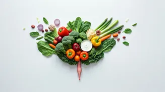 Boosting Your Gut Health: A Practical Guide