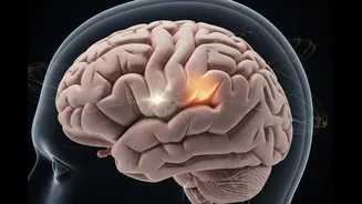 Leading Light | The Ancient Brain Hack: Doing What You Don’t Like