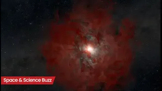 Science & Space Roundup: Top News of the Day (Feb 13)