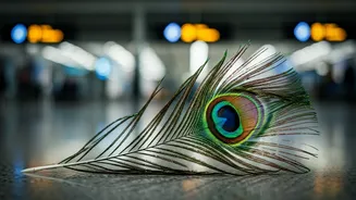 Airport Reel-Makers May Need To Calm Down