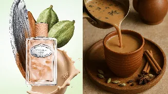Prada surprises tea lovers with chai-scented perfume with sandalwood and cardamom notes