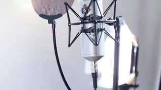 How Agricultural Straw Insulation Panels Offer Effective Eco-Friendly Soundproofing For Studios
