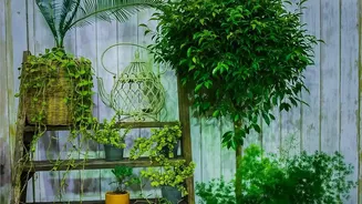 The New Small-Space Gardening Trend Puts Walls And Railings For Plants In Focus At Home