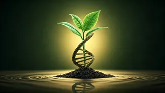 Proactive Health: The Evolving Role of Health Insurance in Prevention