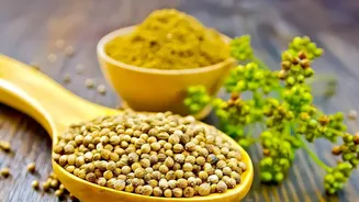 Coriander Above ₹200/Kg: The Weather-Driven Food Price Story Explained