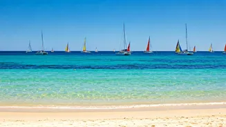 Goa's Tourism Boom: Domestic Visitors Lead the Way