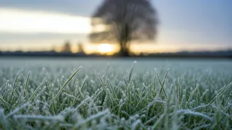 Delhi's Chilly Embrace: Weather Dips to 3.3°C