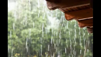 Bengaluru Under Yellow Alert: Rain, Thunder Likely Over Next 2 Days