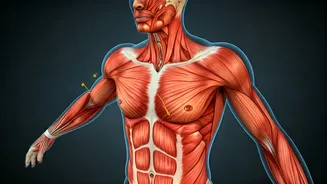 Calorie Burn Is Not The Whole Story