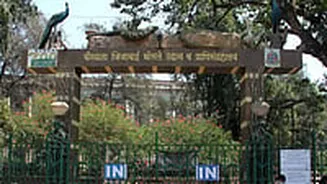 Mumbai News: Byculla Zoo To Celebrate Bird Week 2025 From November 7–12 With Quiz, Bird Watching And Photo Exhibition