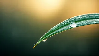 This Monsoon Mistake Could Harm Your Skin