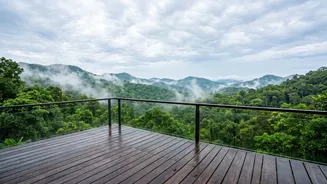 Why Rain Enthusiasts Pick Wayanad Rainforest Homestays For Monsoon Escapes