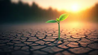 Why Recovery Matters More Than Ever