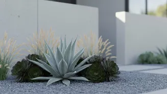 Understanding Plant Choice By Long-Term Water Needs In The Low-Water Gardening Shift