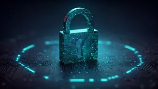 Unraveling the Mysteries of Online Security Verification Processes