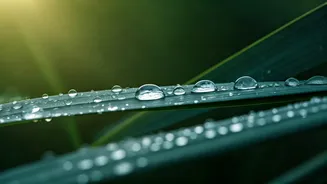 K-Beauty tips for non-sticky monsoon skin