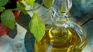 Coriander and mint stems create flavourful zero waste herb oil infusions at home
