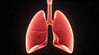 Boost Lungs This Diwali With 10 Minutes Yoga