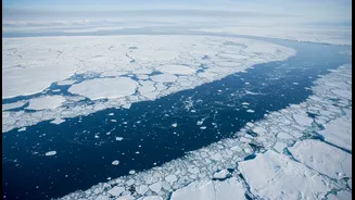 Shrinking Antarctic Sea Ice Could Influence Ocean Systems
