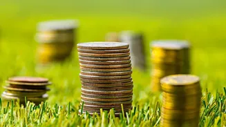 Startup IPO Research: The Financial Details Small Investors Should Not Skip