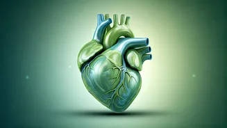 5 Gentle Exercises for a Healthier Heart: Expert-Approved Daily Routines