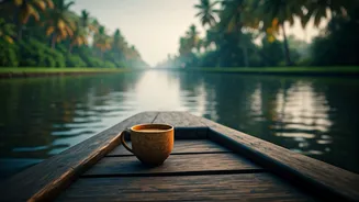 Dreamy Kerala Backwaters: Viral Chai-on-a-Boat Experience Offers Serene Escape