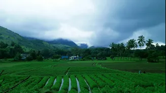 Northeast Monsoon: Kerala's Rainfall Patterns Explained