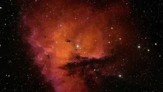 Ground-Based WINERED Data Reveal Escaping Gas Around LHS 1140 b