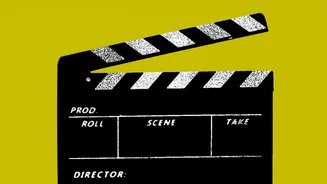 Top Bollywood Comedy Movies Delivering Lighthearted Fun Iconic Script Lines And Complete Stress Relief For Home Streaming Marathons