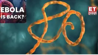 Ebola alert for Indian airports: Flyers must check DGHS warning as WHO declares global emergency for communicable disease