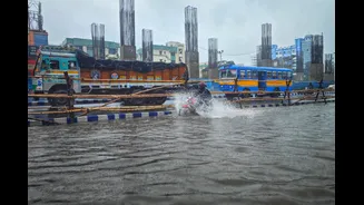 Heavy Rain and Thunderstorms Forecast for Kolkata
