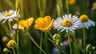 Flower Walks Are The New Soft Adventure