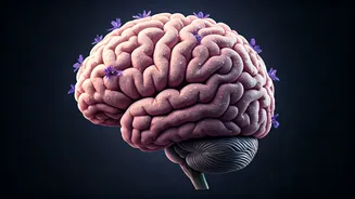 Boost Focus: The Unexpected Power of Scent