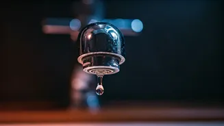 5 Kitchen Hotspots You're Likely Missing: NYC Doctor Reveals Hidden Germ Magnets