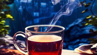Monsoon Tea Lovers Have Plenty To Discover Across Hyderabad This August