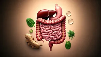 Gut-Safe Monsoon Food Is Fully Back In Focus