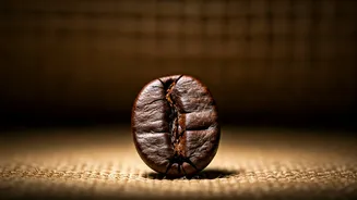 Unlocking Robusta's Power: Surprising Health Perks of Your Daily Brew!