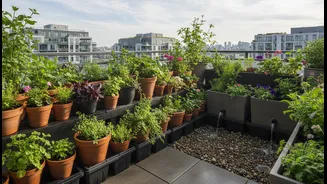 Urban Gardeners Are Using Smart Drainage Tricks To Beat Monsoon Waterlogging