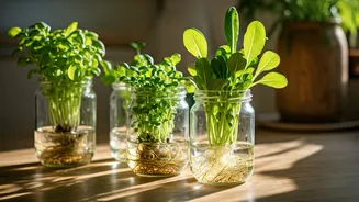 Turn Old Glass Jars Into Elegant Hydroponic Stations This Weekend